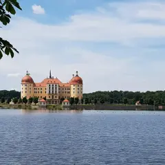 Malowniczy niemiecki zamek Moritzburg odbija się w spokojnej tafli jeziora, otoczony zielenią drzew.