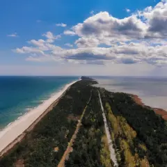 Długa, piaszczysta plaża i las otaczają drogę prowadzącą do morza. Idealne miejsce na parking z widokiem na morze.