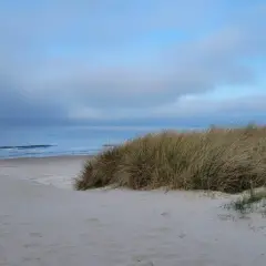 Piasek, trawy morskie i spokojne morze tworzą ciche miejsca nad morzem.