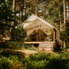 Namiot glampingowy w lesie, idealny na darmowe pola namiotowe Mazury. Drewniana ławka i krzesło zapraszają do odpoczynku.