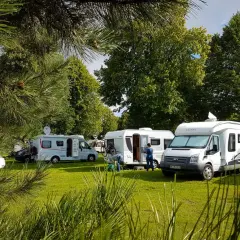Kampery i przyczepy kempingowe na zielonej trawie, wśród drzew. Słoneczny dzień w **nude camp**.