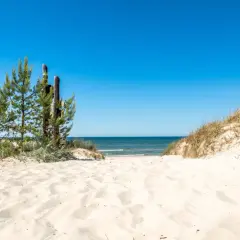 Piękne, dzikie plaże nad Bałtykiem. Droga przez piaszczyste wydmy i sosny prowadzi do spokojnego morza pod błękitnym niebem.