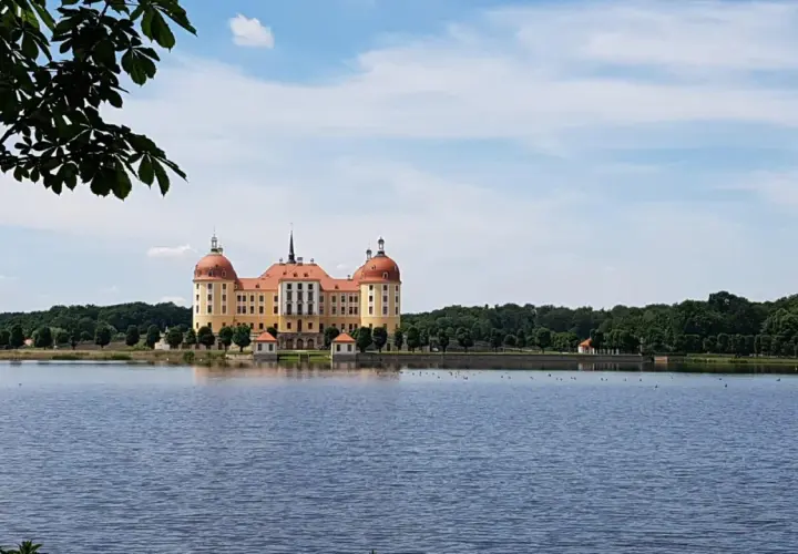 Malowniczy niemiecki zamek Moritzburg odbija się w spokojnej tafli jeziora, otoczony zielenią drzew.