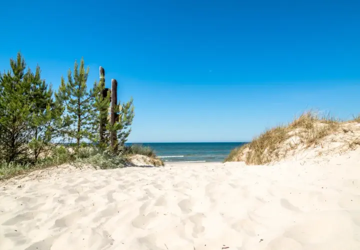 Piękne, dzikie plaże nad Bałtykiem. Droga przez piaszczyste wydmy i sosny prowadzi do spokojnego morza pod błękitnym niebem.