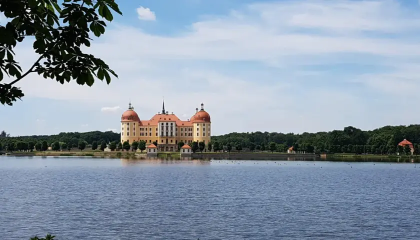 Malowniczy niemiecki zamek Moritzburg odbija się w spokojnej tafli jeziora, otoczony zielenią drzew.