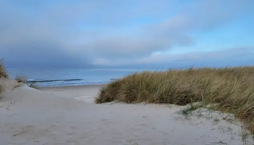 Piasek, trawy morskie i spokojne morze tworzą ciche miejsca nad morzem.