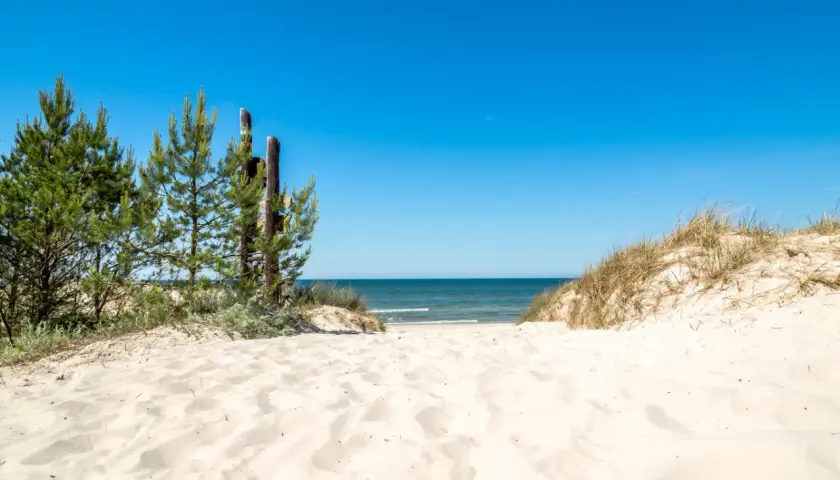 Piękne, dzikie plaże nad Bałtykiem. Droga przez piaszczyste wydmy i sosny prowadzi do spokojnego morza pod błękitnym niebem.