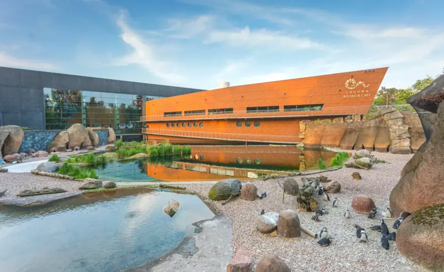 Afrykarium we Wrocławiu - co zobaczyć i jak zaplanować wizytę