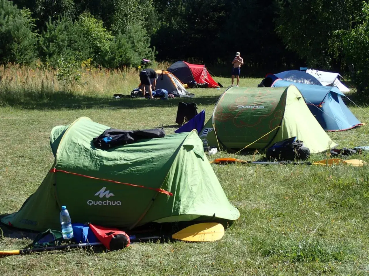 Kilka zielonych i niebieskich namiotów rozbitych na trawie, w tle las. Wygląda na to, że to biwak bez zgłoszenia, gdzie ludzie przygotowują się do spływu kajakowego.