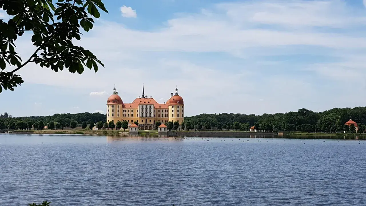 Malowniczy niemiecki zamek Moritzburg odbija się w spokojnej tafli jeziora, otoczony zielenią drzew.
