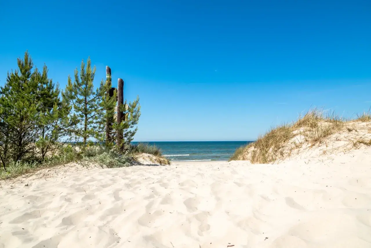 Piękne, dzikie plaże nad Bałtykiem. Droga przez piaszczyste wydmy i sosny prowadzi do spokojnego morza pod błękitnym niebem.