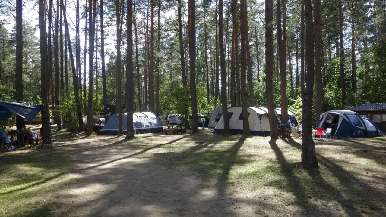 Darmowe pola namiotowe Mazury: namioty rozbite w lesie, cienie drzew na piasku, idealne miejsce na wakacje.