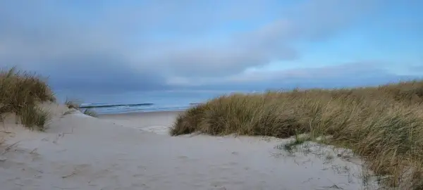Piasek, trawy morskie i spokojne morze tworzą ciche miejsca nad morzem.